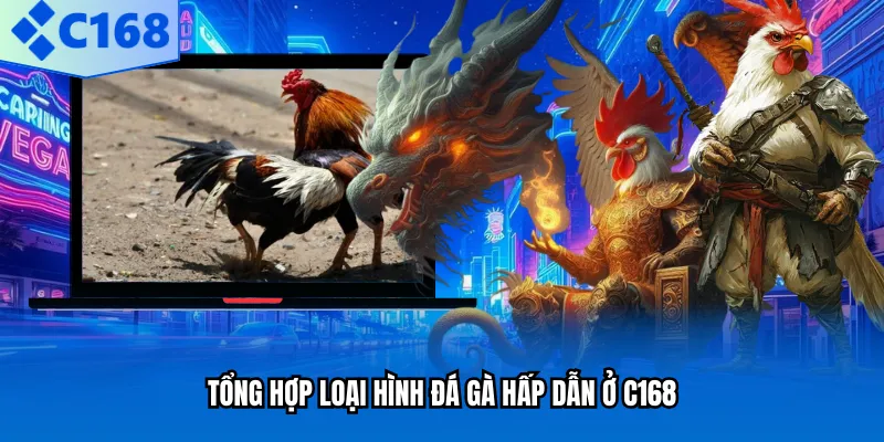 Tổng hợp loại hình đá gà hấp dẫn ở C168